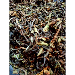 priyobandhu darjeeling orthodox tea