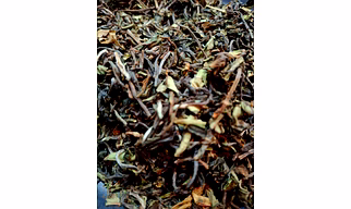 DARJEELING ORTHODOX TEA