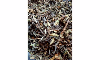 PRIYOBANDHU DARJEELING GREEN TEA