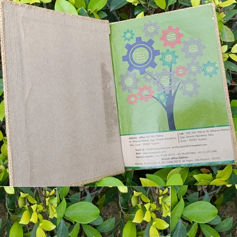 SOT BIG | Green Jute Cover | Brown Recycled paper | Colour branding on pages-A5-100-1