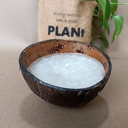 Coconut Shell Candle | Upcycled | Natural | Paraffin Wax