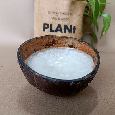 coconut shell candle | upcycled | natural | paraffin wax
