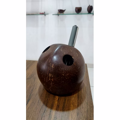 coconut shell pen holder | upcycled | desk organizer