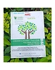Recycled Paper Diary | SOT Evergreen A5 | 200 pages | Hard Bound | Recycled Hardboard Title