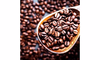 Premium ARABICA CHERRY: Unwashed