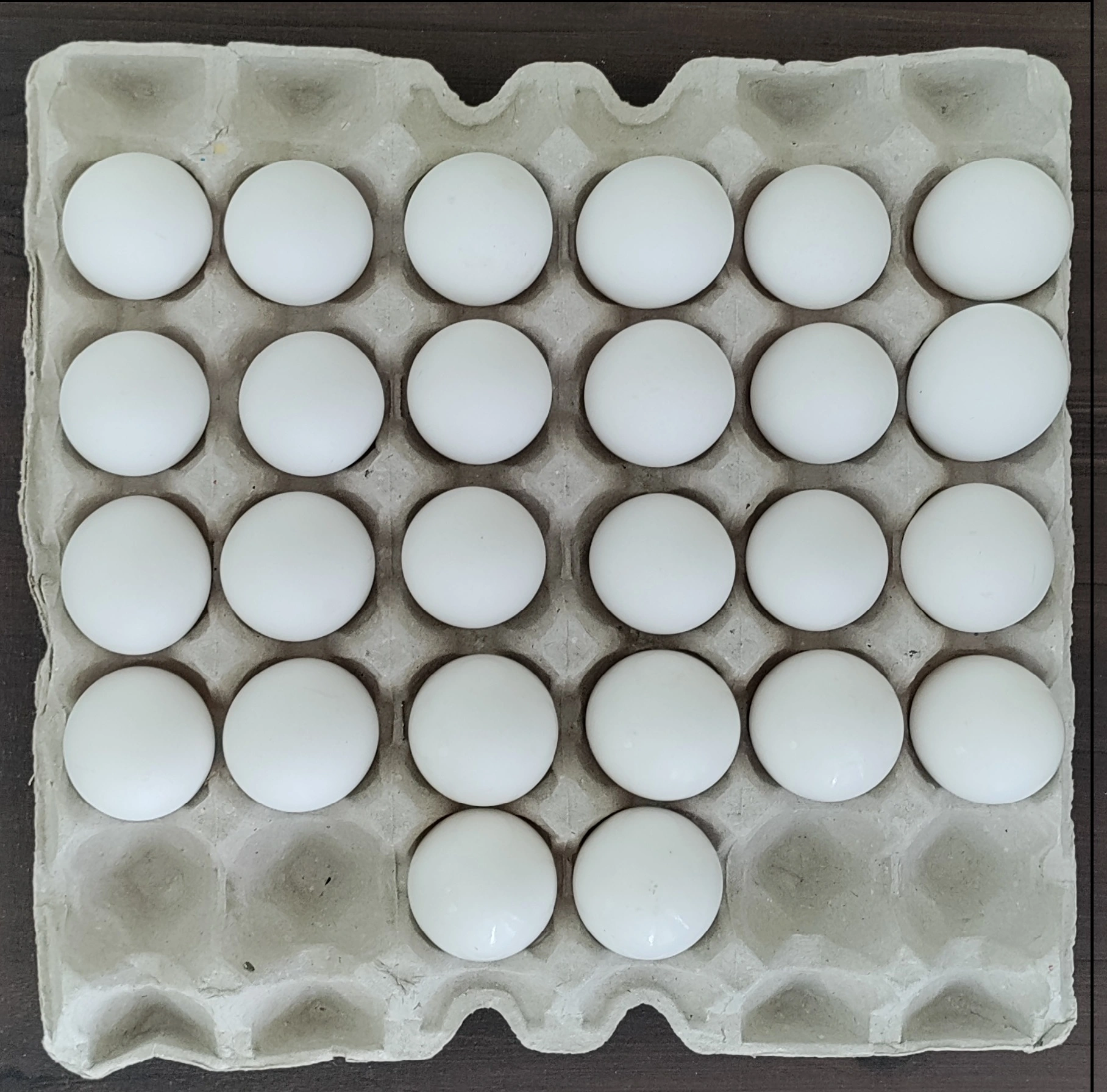 Paper Pulp Egg Tray-12556598