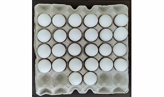 Paper Pulp Egg Tray