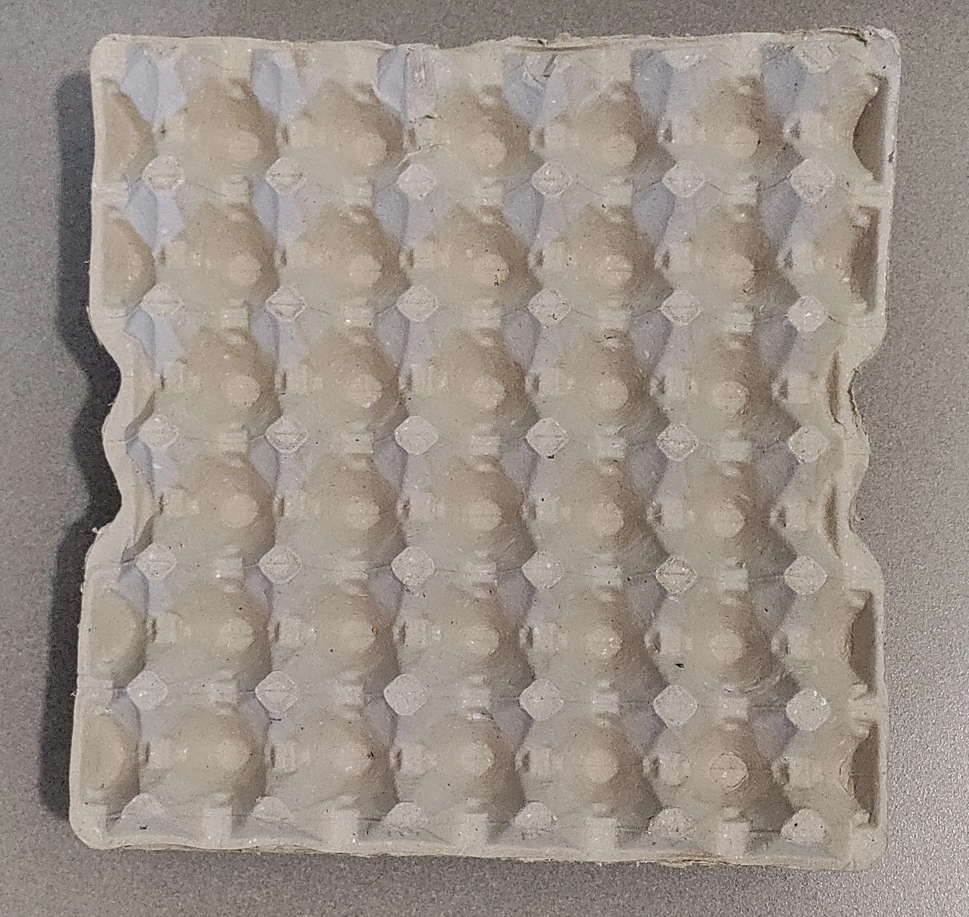 Paper Pulp Egg Tray-1