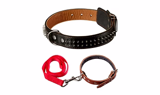 Pet Accessories