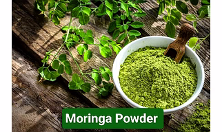MORINGA powder