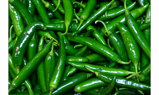 Green chilli G4