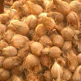 semi husk coconut