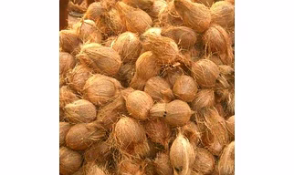 Semi husk coconut
