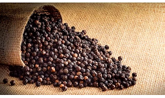 Black Pepper