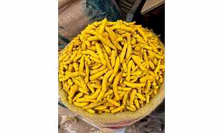 Turmeric finger and whole