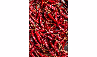 Red Chili