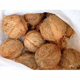 coconut