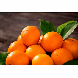 citrus fruit (kinnow orange)