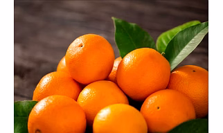Citrus fruit (Kinnow Orange)