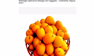 Ratnagiri Alphonso Mango