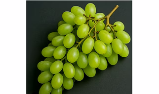 Grapes