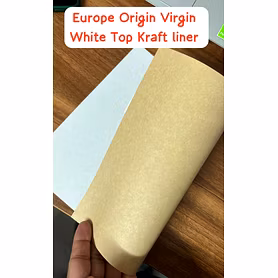 Virgin White Top Kraft Liner Paper In Reels and In Sheets