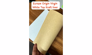 Virgin White Top Kraft Liner Paper In Reels and In Sheets