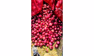 Small Onions, Red Onions, Shallots
