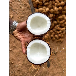 Semi Husked Coconut, Coconut, Fresh Coconut