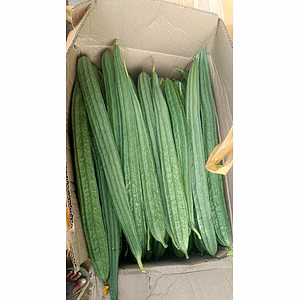 Ridge Gourd