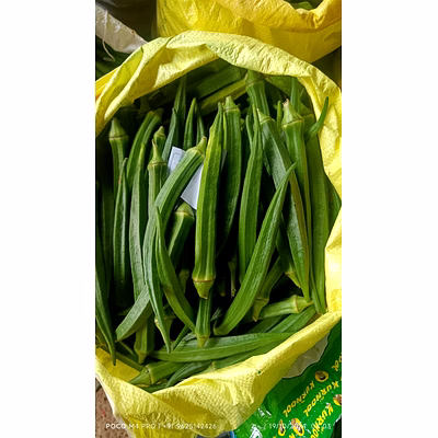 ladys finger, okra