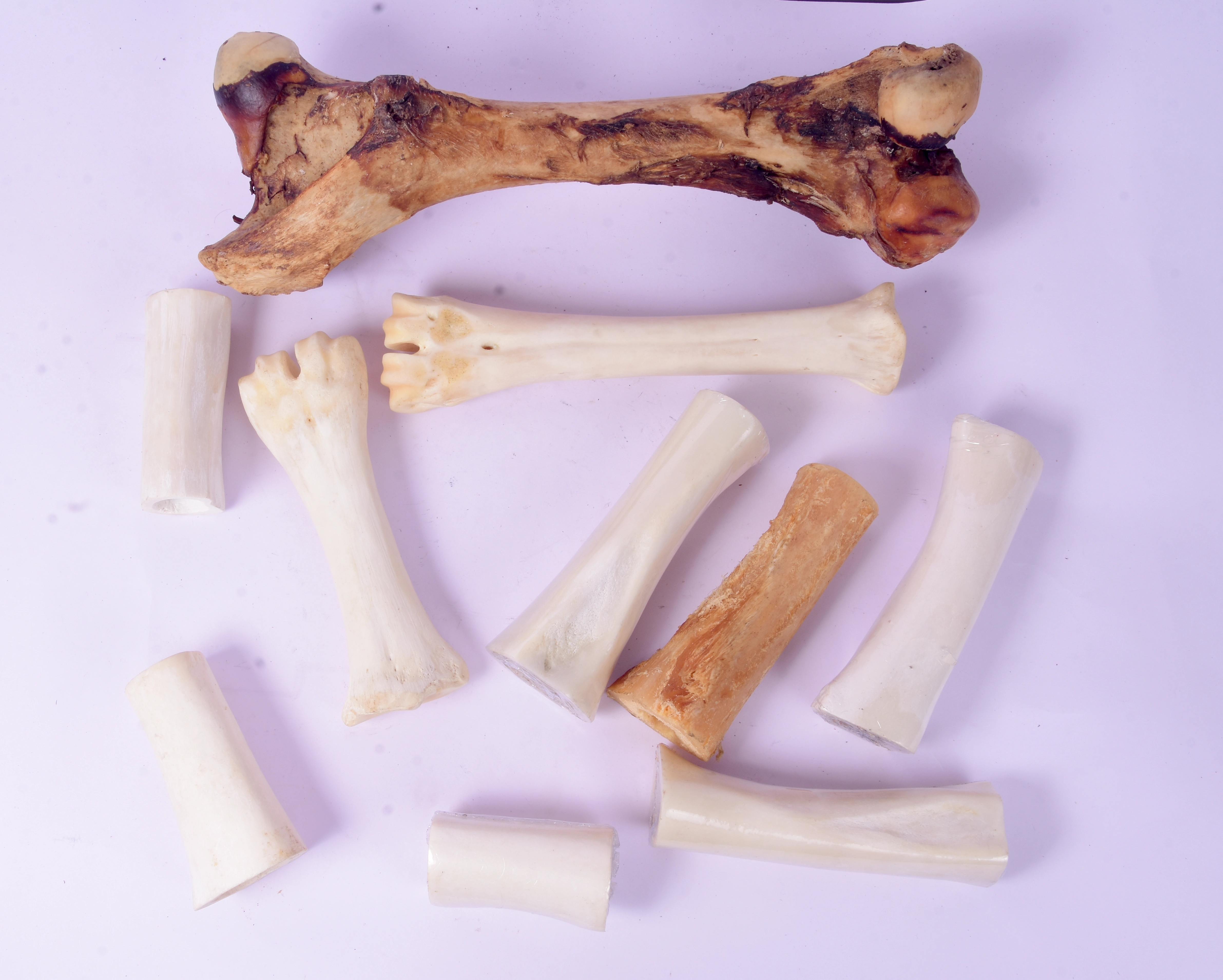 Natural Bones for Dogs-12558748