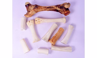 Natural Bones for Dogs
