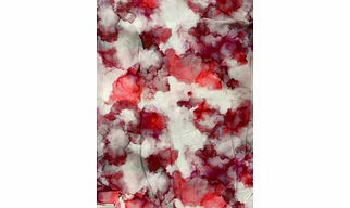 Orange Chiffon on Digital printed Fabric