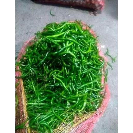 Green chilli-3