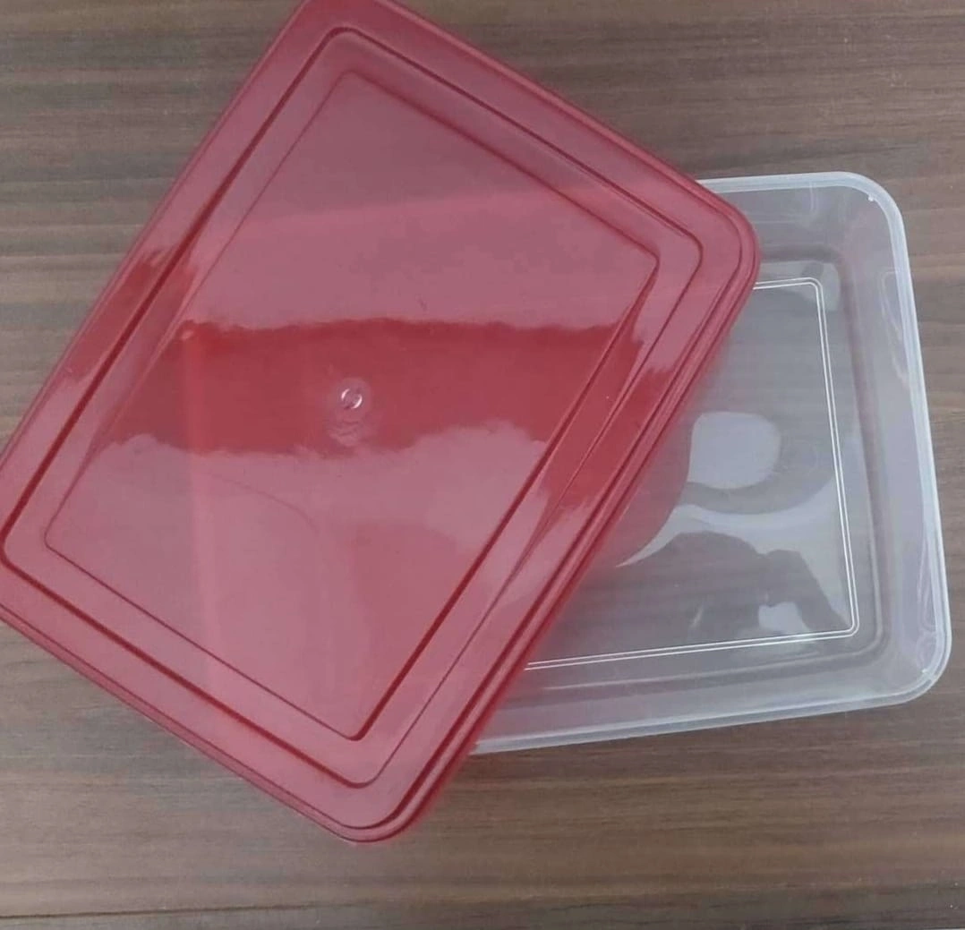 Plastic Container-12559760