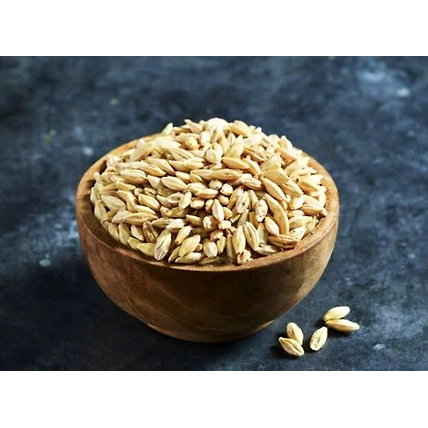 Barley seeds-2
