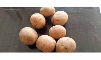 Potato