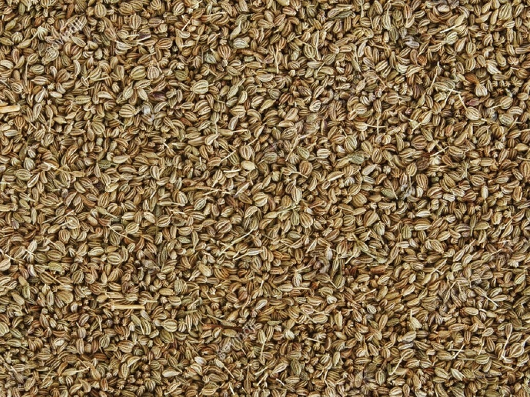 CAROM SEEDS-1