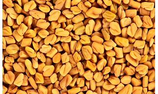 FENUGREEK SEEDS