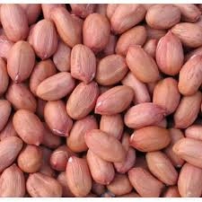 GROUNDNUT-2