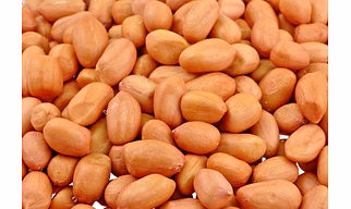 GROUNDNUT