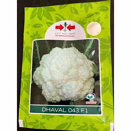 east west cali flower seed