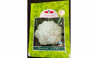 CALI FLOWER SEED