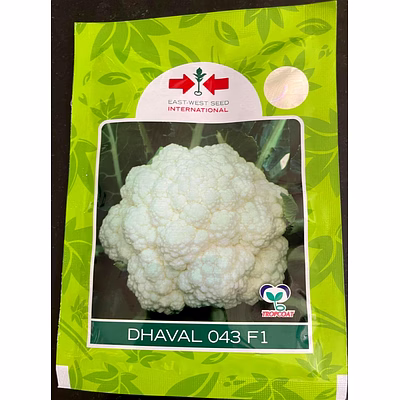 east west cali flower seed