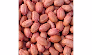 peanut