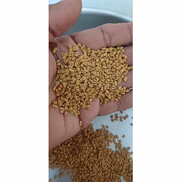 coriander seeds