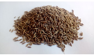 Cumin seeds