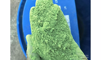 Moringa powder
