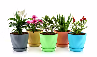 Flower Pot - 5 Pcs Set
